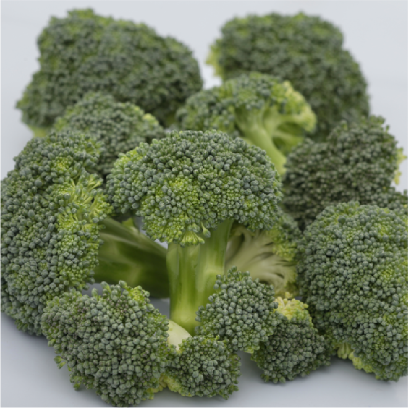 Brócoli Monclano